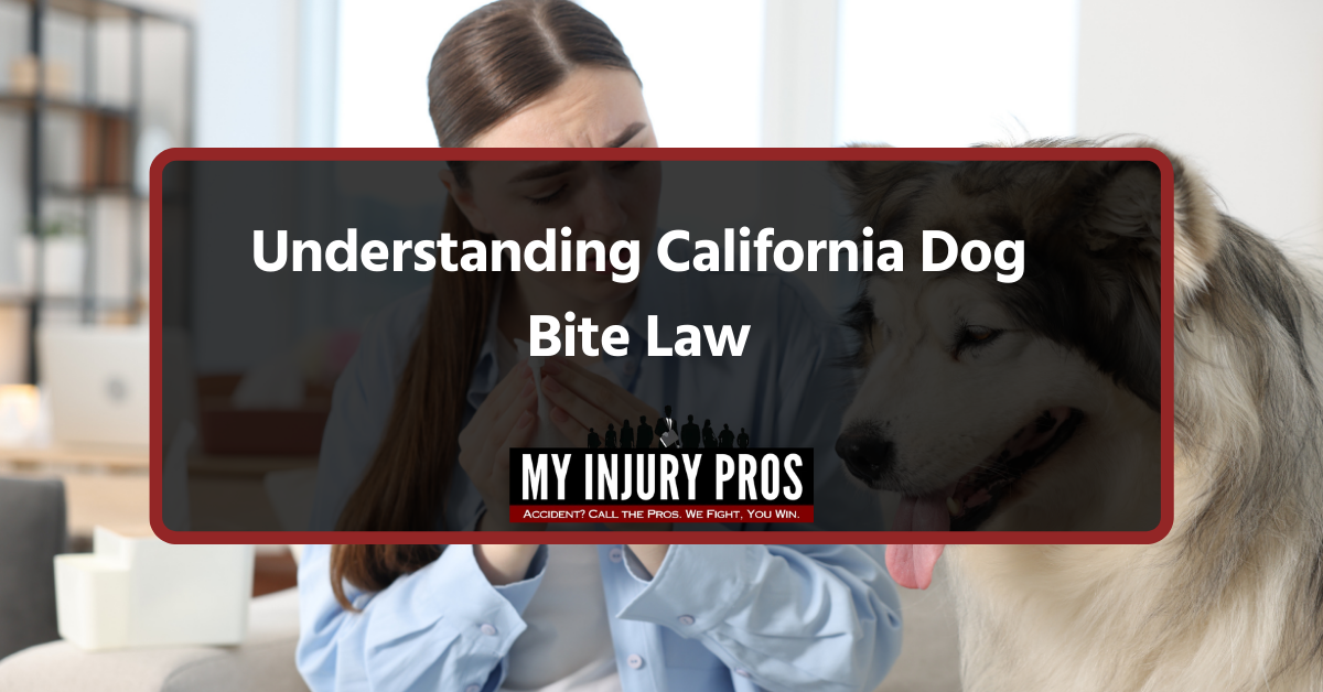 🖼️ Alt Text: California dog bite victim consulting a personal injury lawyer about legal rights